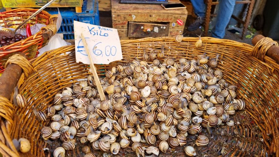 לוקחים את הזמן בקטאניה